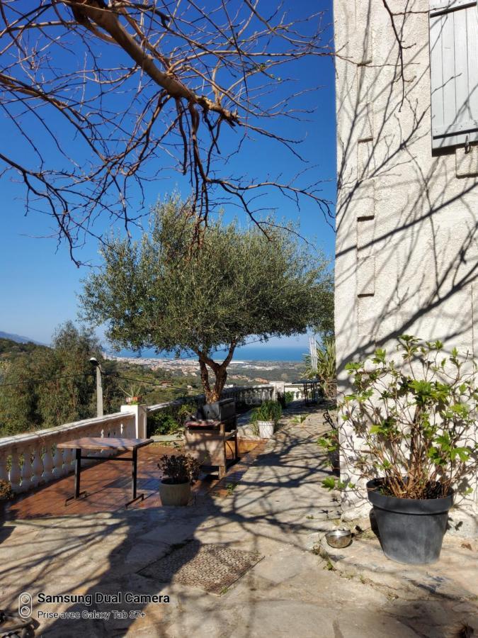 Maison Casa Nova Biguglia  Bagian luar foto