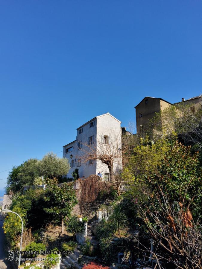Maison Casa Nova Biguglia  Bagian luar foto