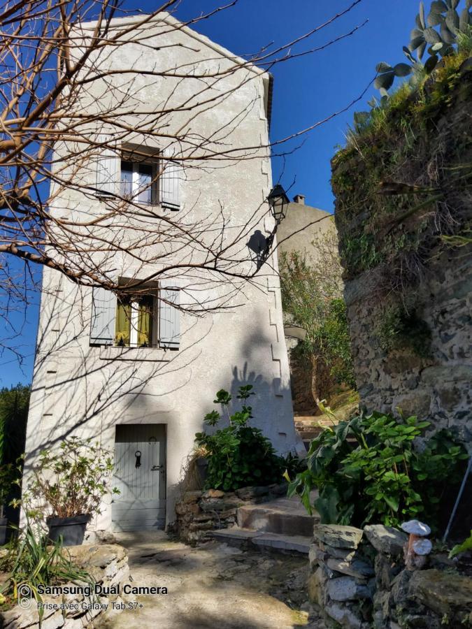 Maison Casa Nova Biguglia  Bagian luar foto