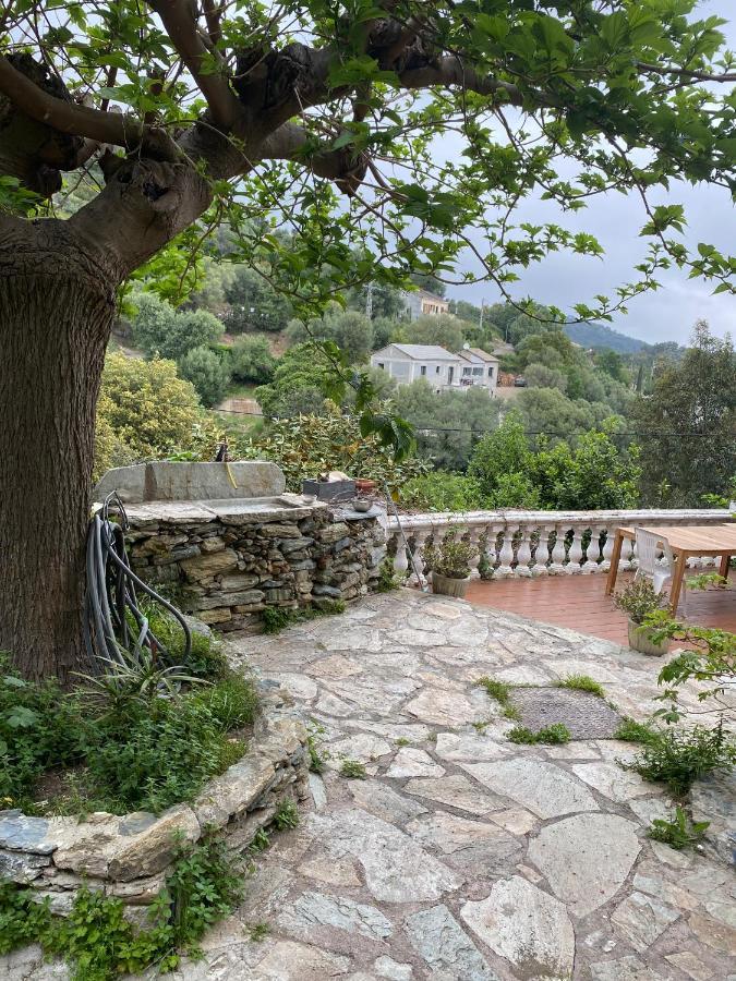 Maison Casa Nova Biguglia  Bagian luar foto